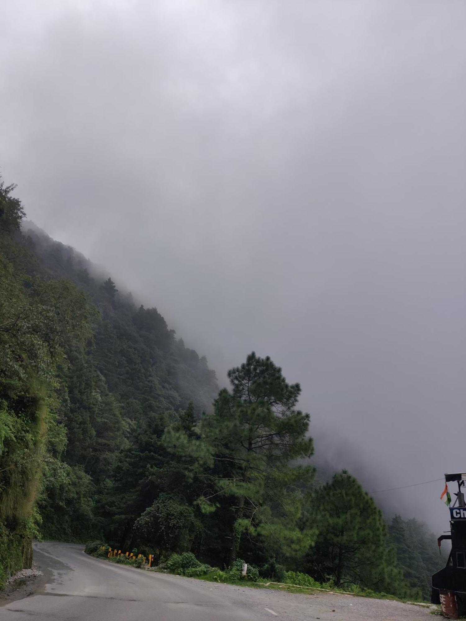 Lodge Cedar By Aahma Ramgarh (Uttarakhand)