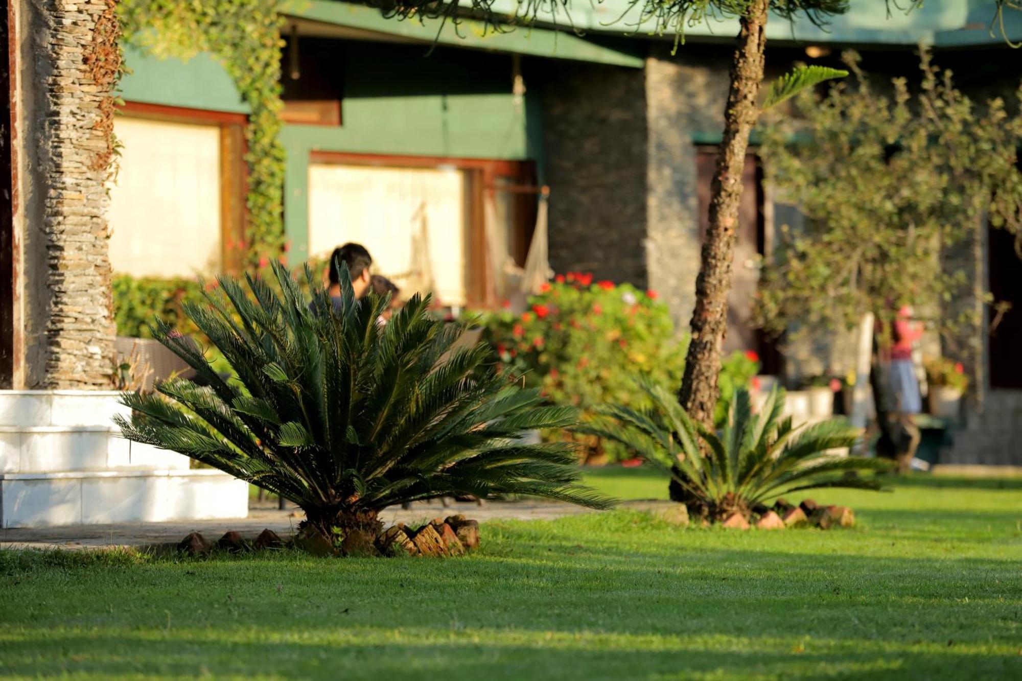 Cedar By Aahma Lodge Ramgarh (Uttarakhand)
