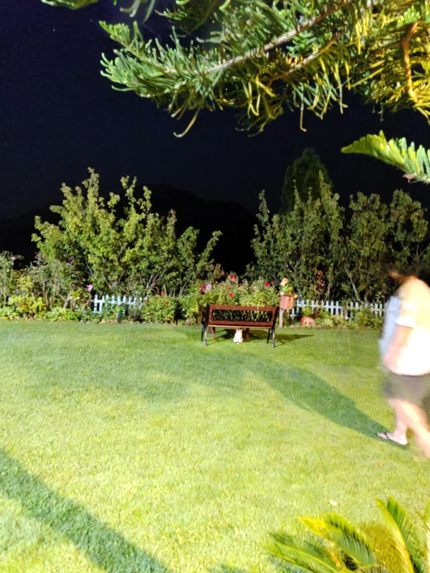 Cedar By Aahma Lodge Ramgarh (Uttarakhand)