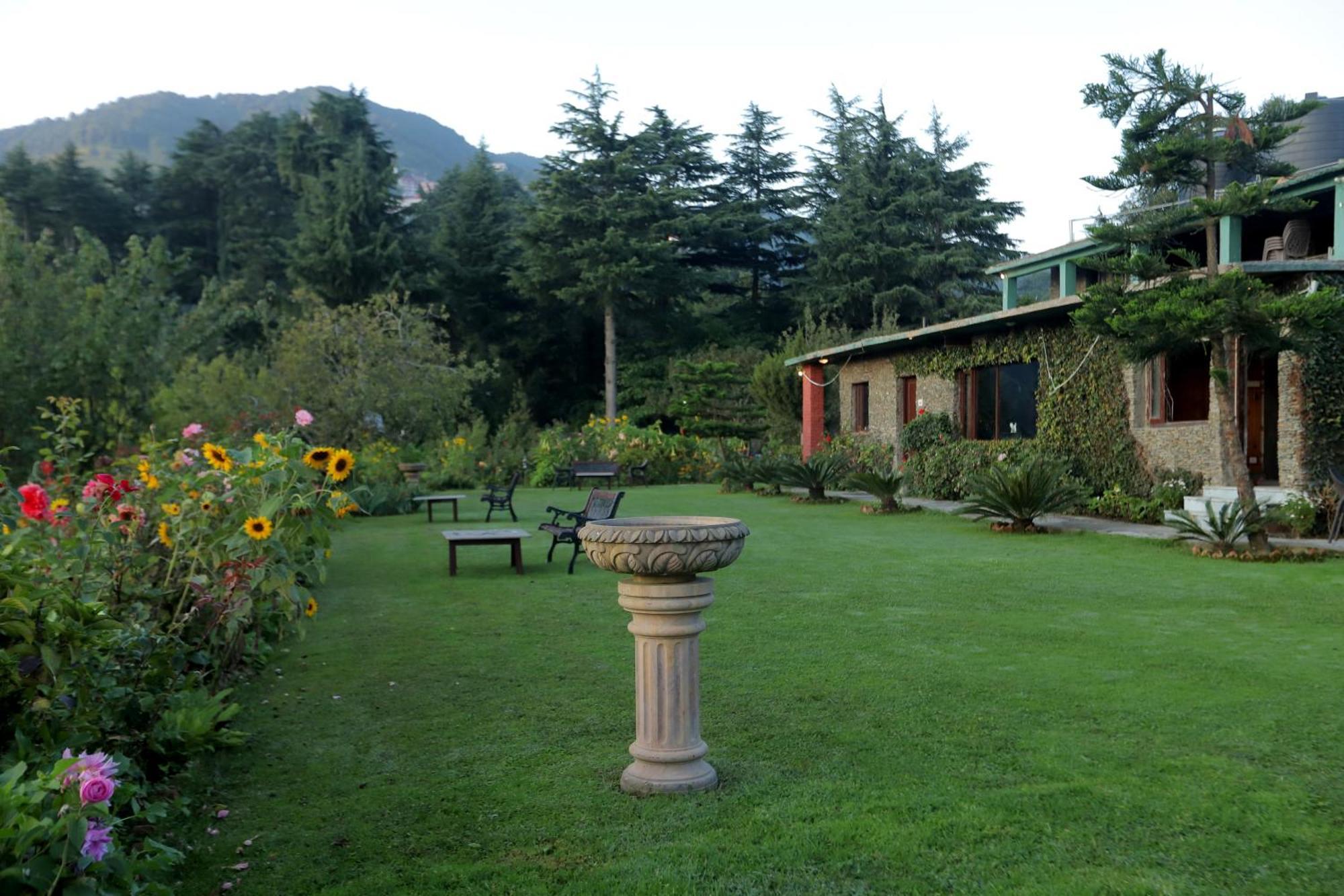 Cedar By Aahma * Ramgarh (Uttarakhand)