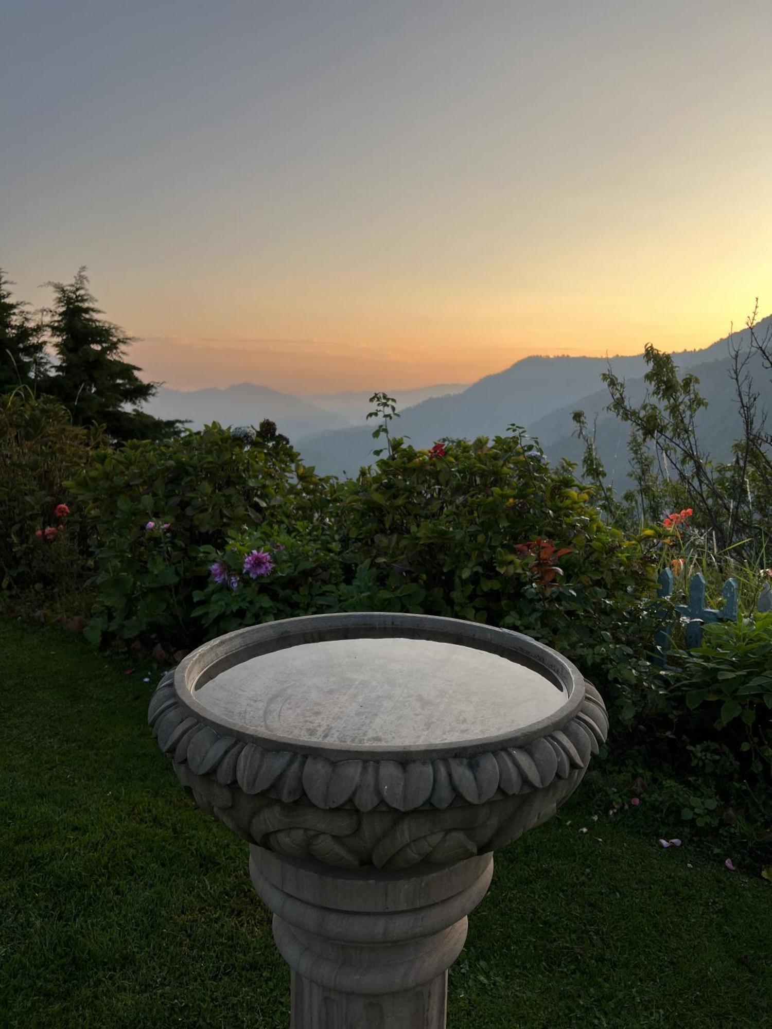 Cedar By Aahma Ramgarh (Uttarakhand)