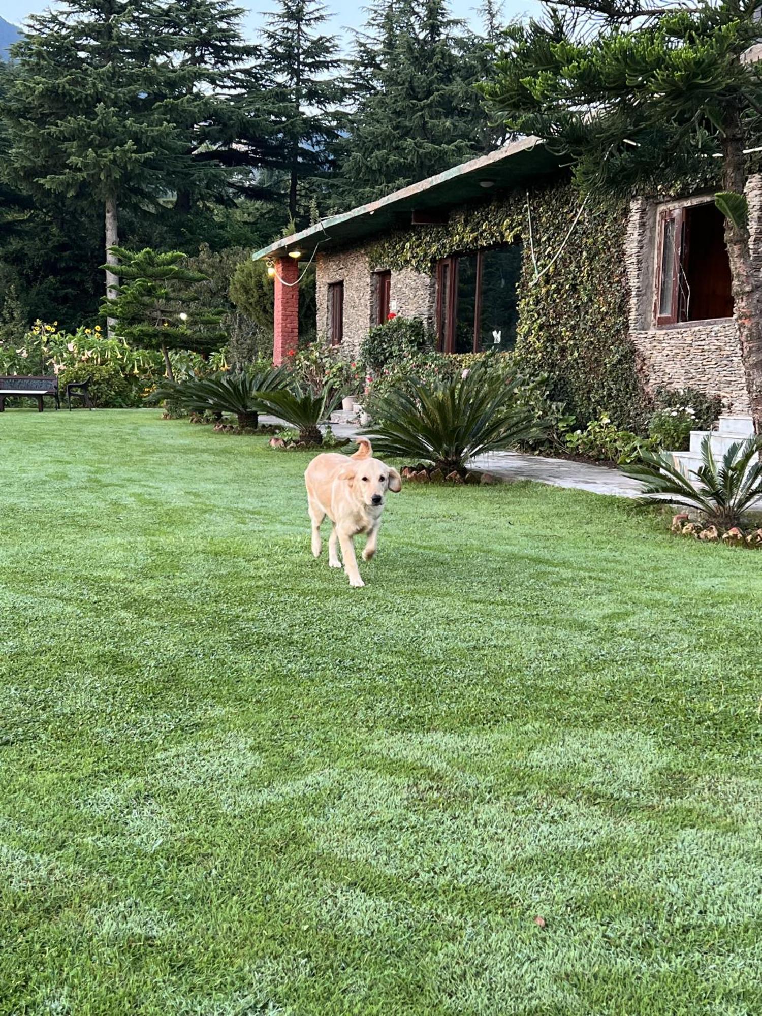 Cedar By Aahma Lodge Ramgarh (Uttarakhand)